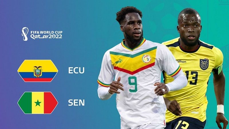 Nhận định, soi kèo Ecuador vs Senegal